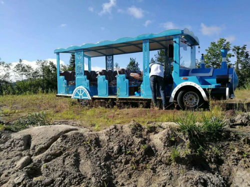 23座电动观光无轨小火车